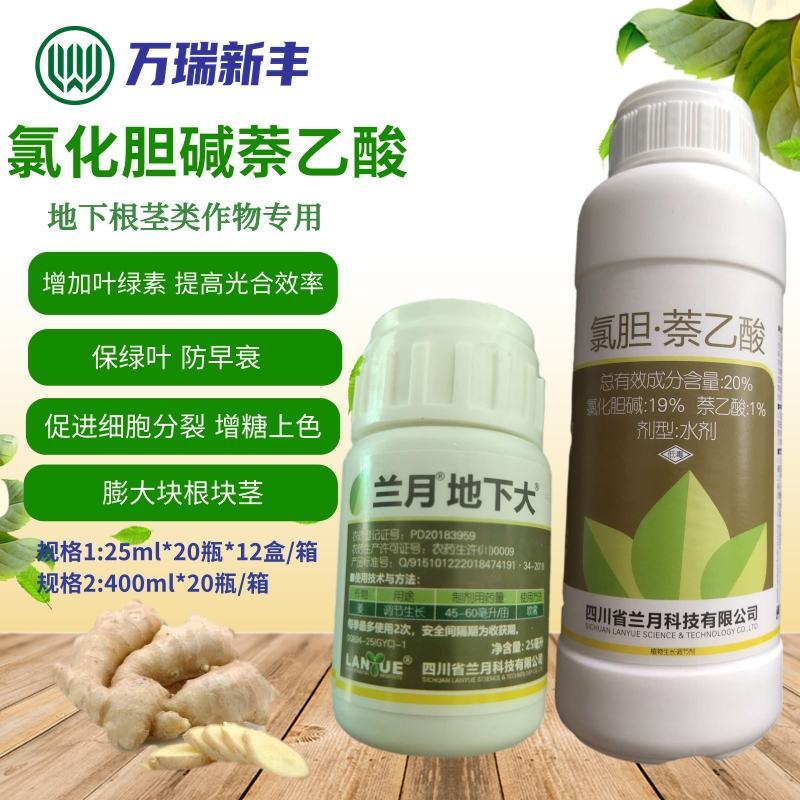 兰月地下大氯化胆碱萘乙酸地下根茎块茎膨大素生长调节剂