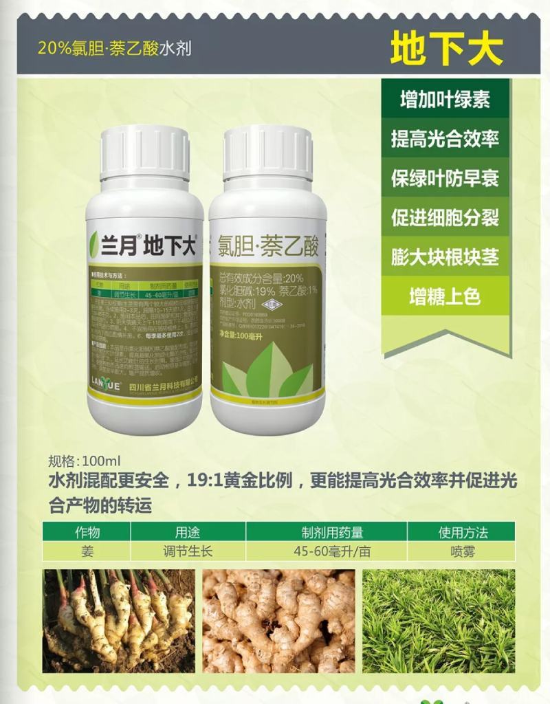 兰月地下大氯化胆碱萘乙酸地下根茎块茎膨大素生长调节剂