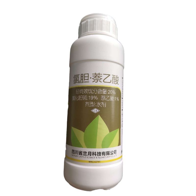 兰月地下大氯化胆碱萘乙酸地下根茎块茎膨大素生长调节剂