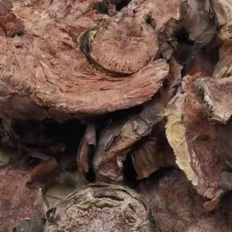 红景天大花红景天小花红景天各种规格批发零售