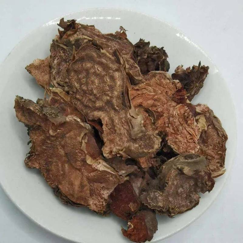 红景天大花红景天小花红景天各种规格批发零售