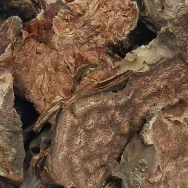 红景天大花红景天小花红景天各种规格批发零售