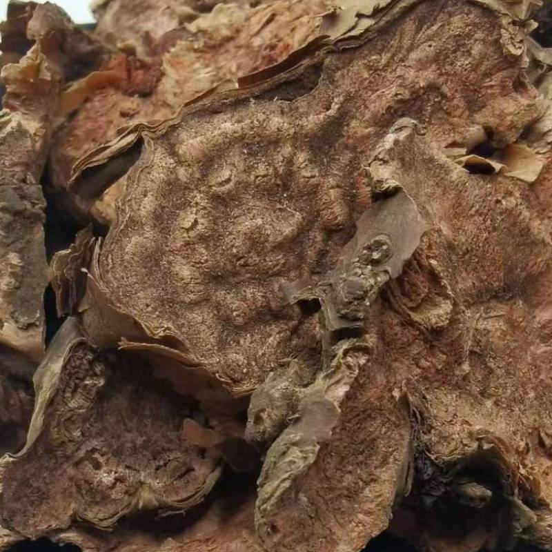 红景天大花红景天小花红景天各种规格批发零售