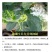 兰月速滋硼硼肥保花保果促进授粉促进花芽分化叶面肥