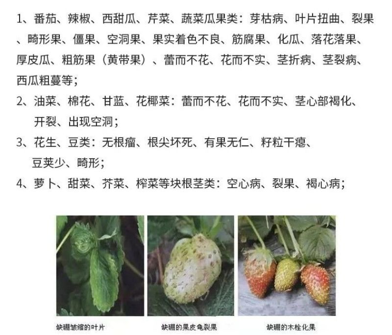 兰月速滋硼硼肥保花保果促进授粉促进花芽分化叶面肥