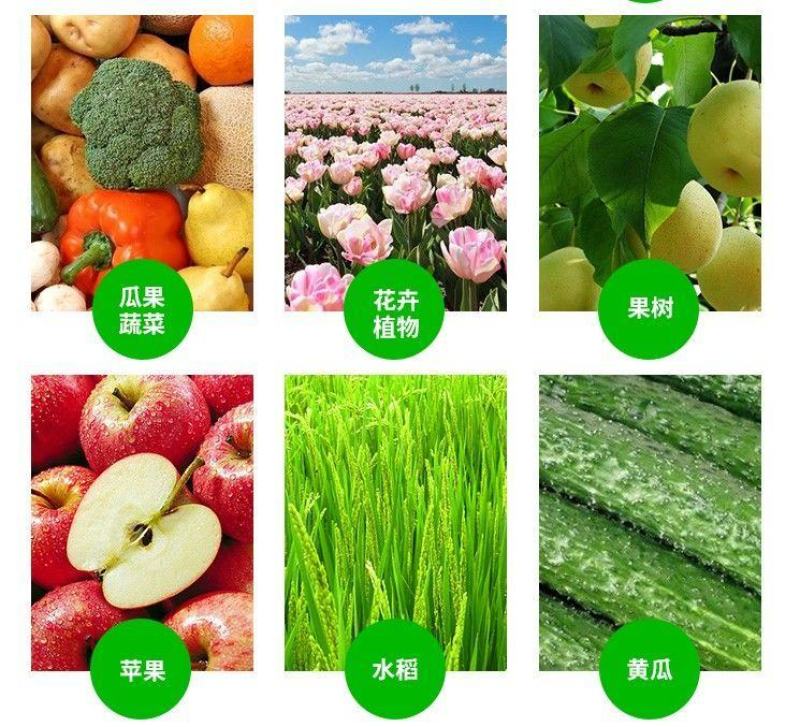 兰月速滋硼硼肥保花保果促进授粉促进花芽分化叶面肥