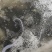 鱼