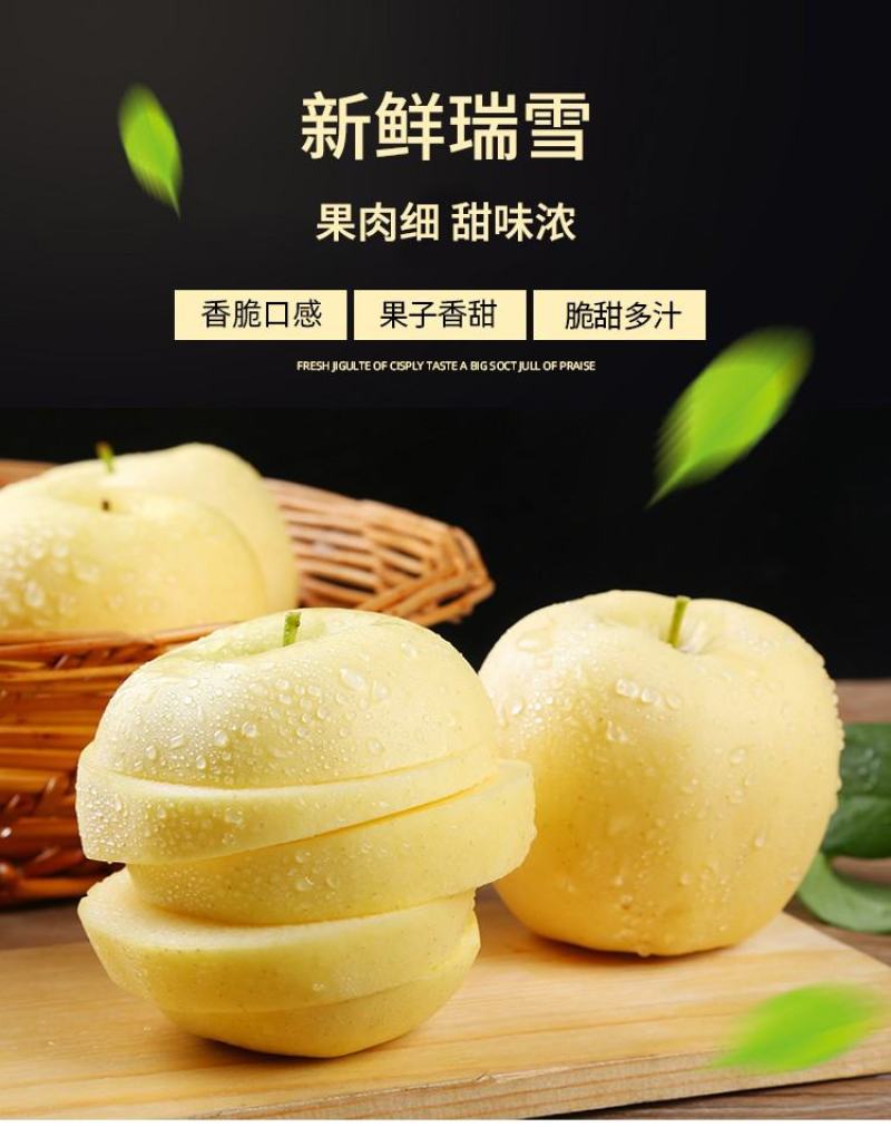 瑞雪苹果苗