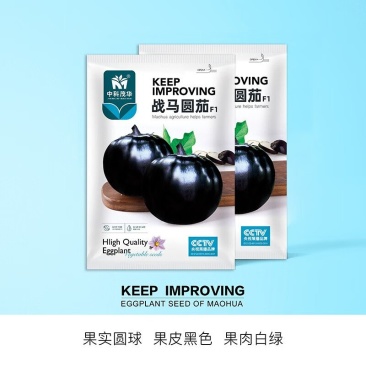 战马圆茄种子，黑皮有光泽，白绿肉，易坐果