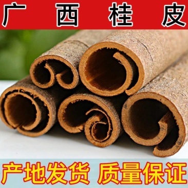 【广西桂乡桂皮】产地直销，肉厚浓香，多种桂皮供应