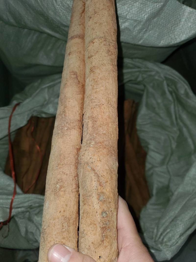 【广西桂皮产地直销】去皮肉桂，产地源头货源选择性多