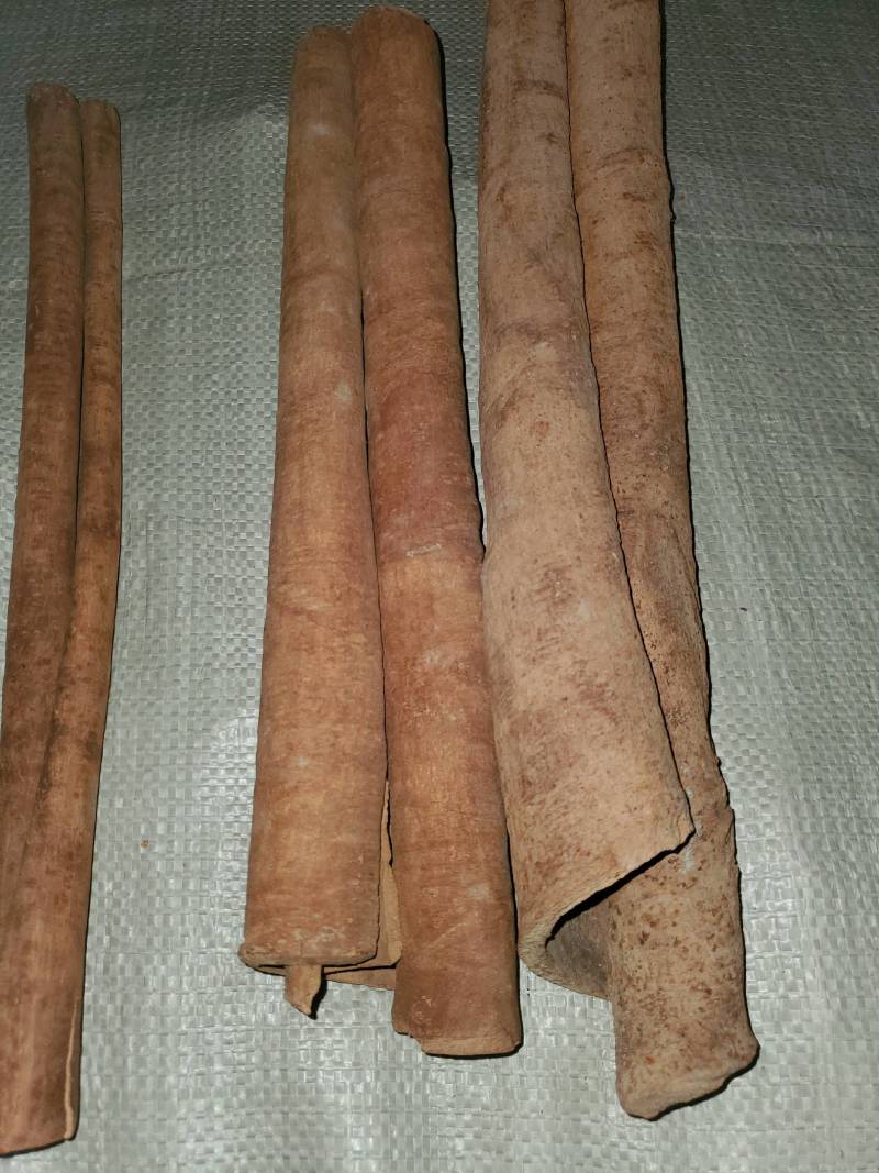 【广西桂皮产地直销】去皮肉桂，产地源头货源选择性多