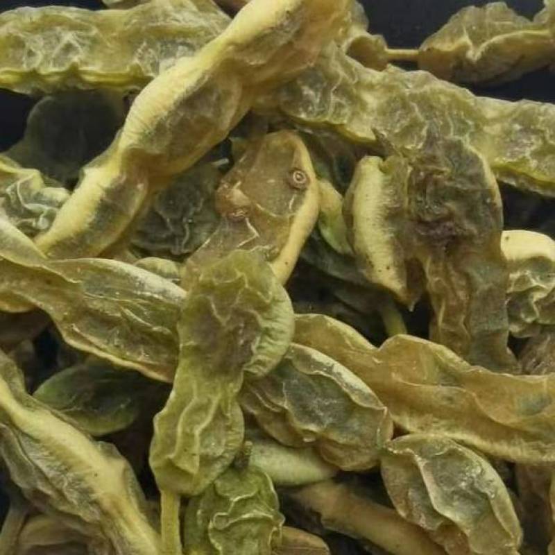 槐角中药材批发零售槐角新货供应批发各种中药材