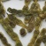 槐角中药材批发零售槐角新货供应批发各种中药材