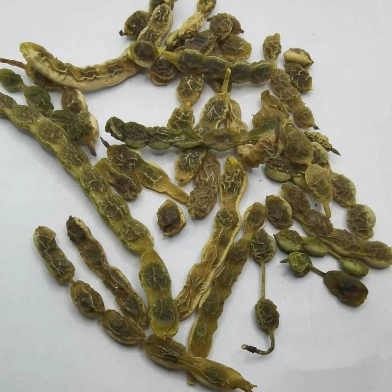 槐角中药材批发零售槐角新货供应批发各种中药材