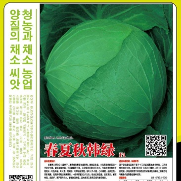 【四季】春夏秋种耐热耐抽苔甘蓝种子叶色深绿不炸球安全稳定