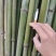 菜架竹，冬瓜竹，豆角利，各种规格定制