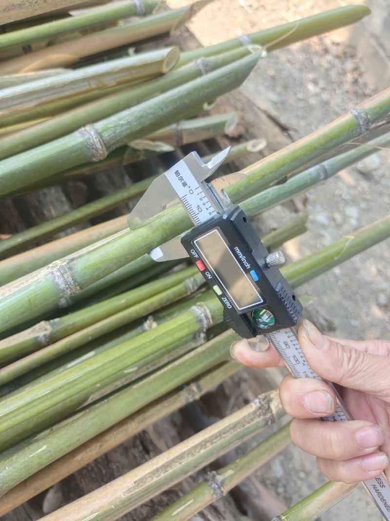 菜架竹，冬瓜竹，豆角利，各种规格定制