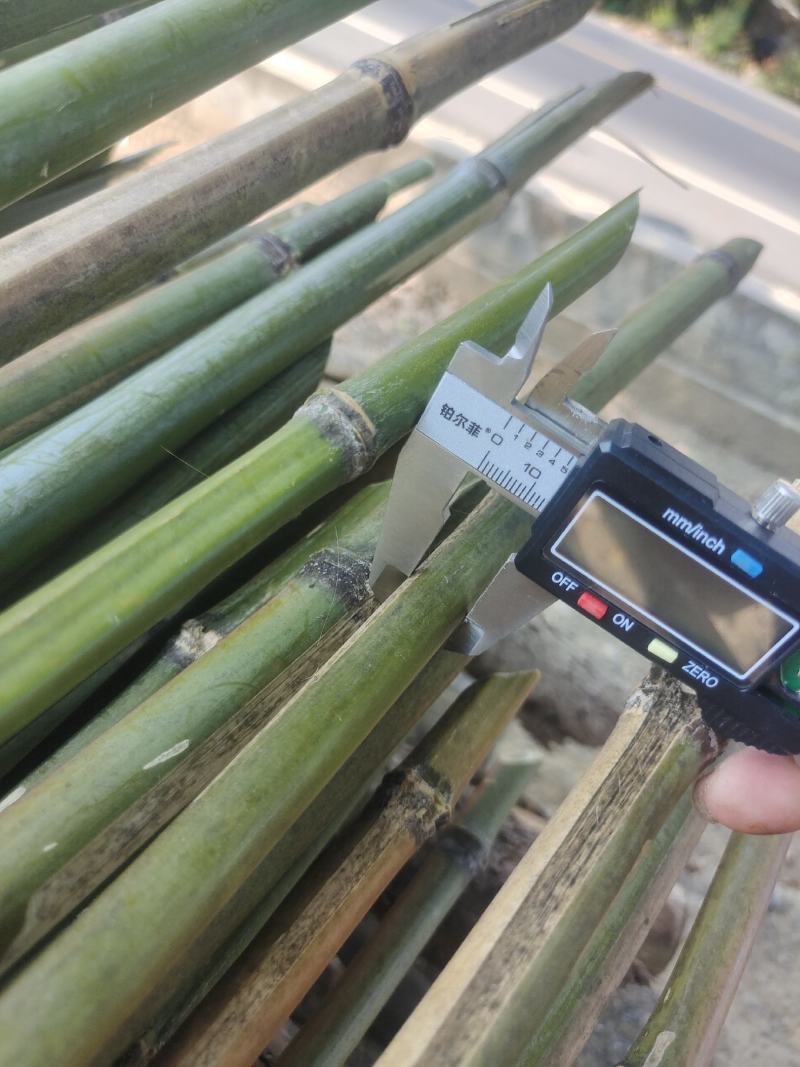 菜架竹，冬瓜竹，豆角利，各种规格定制