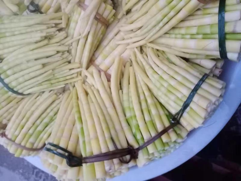 春笋甜笋