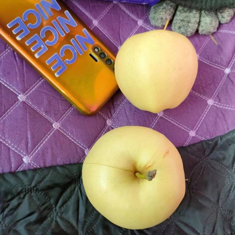 黄焦苹果