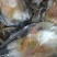 【蒜蓉粉丝扇贝】蒜蓉粉丝带子