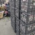 耙耙柑新鲜采摘电商货市场货货源充足价格美丽