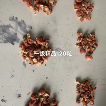 大一级虾尾无冰一斤大概120粒左右