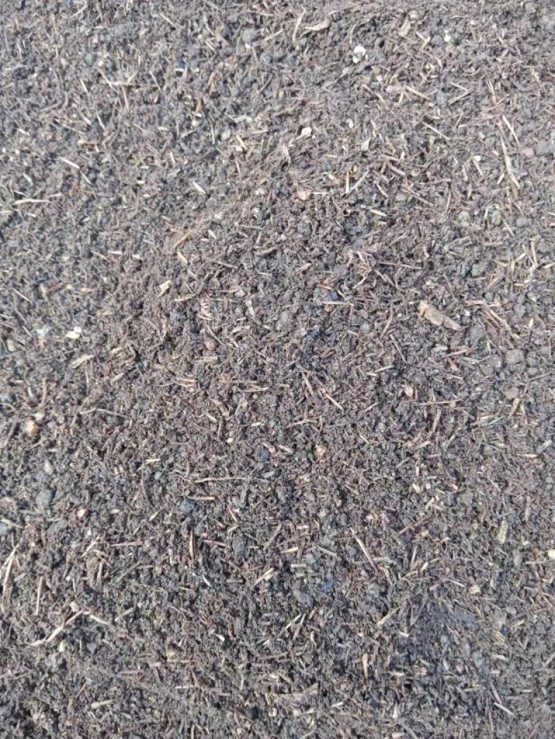 腐殖土