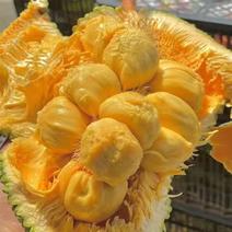 海南榴莲蜜，有着榴莲和菠萝蜜的味道，一个水果，两种囗感。