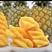 广东湛江，徐闻菠萝，质量保证，果型好看，口感好，多汁，，