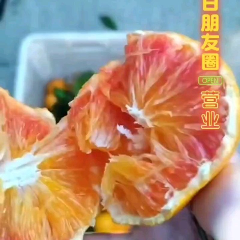 重庆万州，塔罗科血橙，供应中，对接各商超，市场