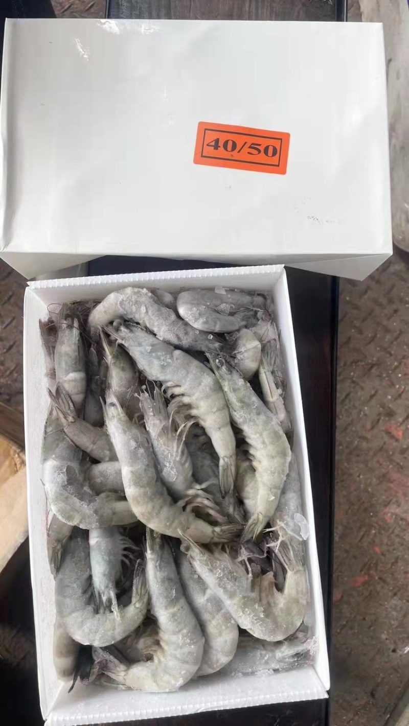 南美白虾盐冻大虾