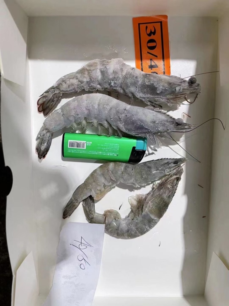 南美白虾盐冻大虾