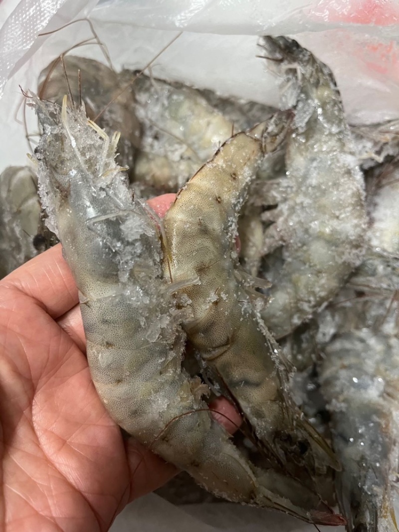 南美白虾盐冻大虾