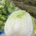 黄心大白菜