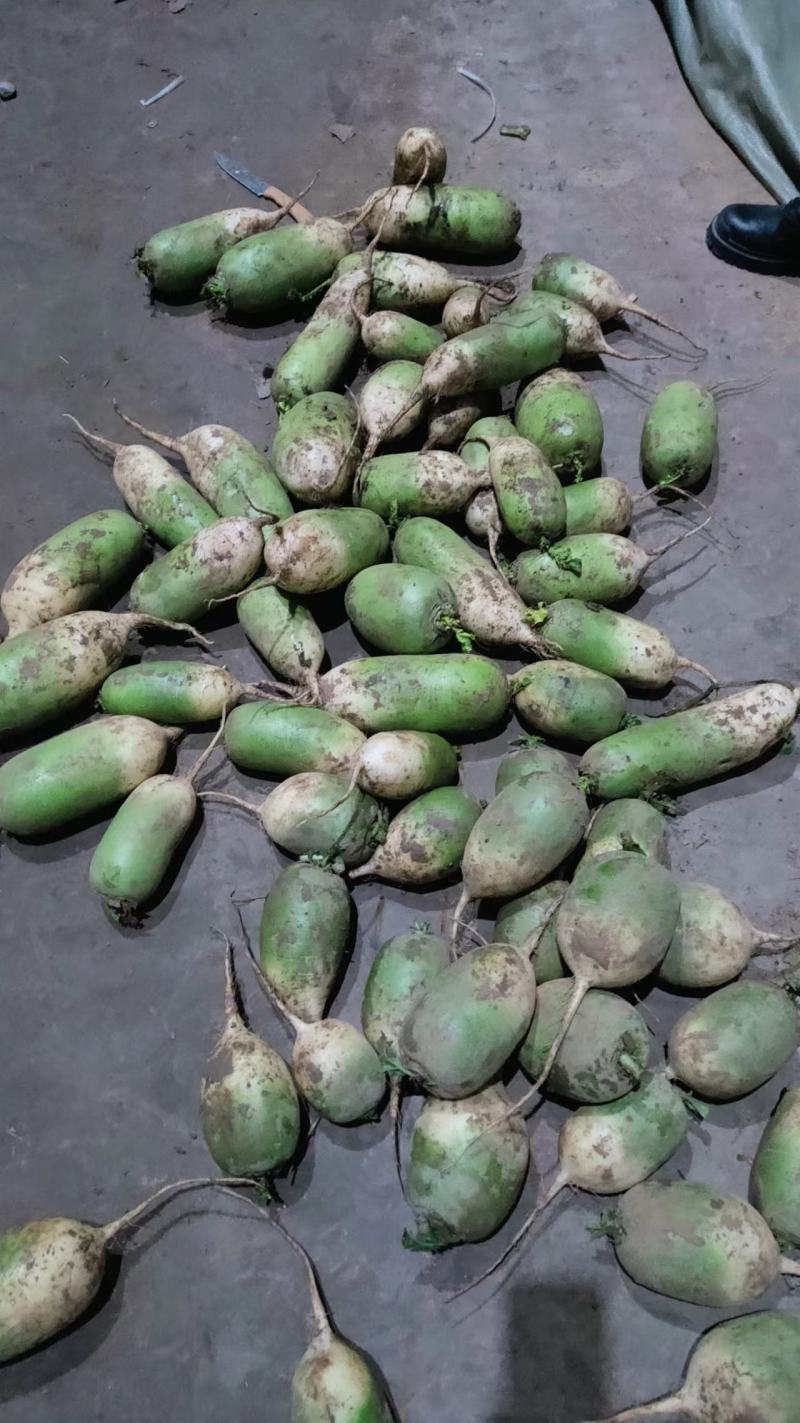 大量供应已上产品，价格美丽