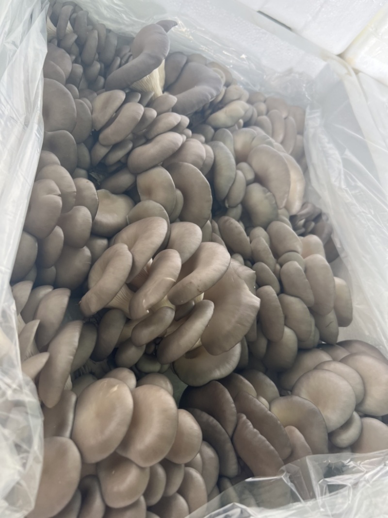 可长期合作，