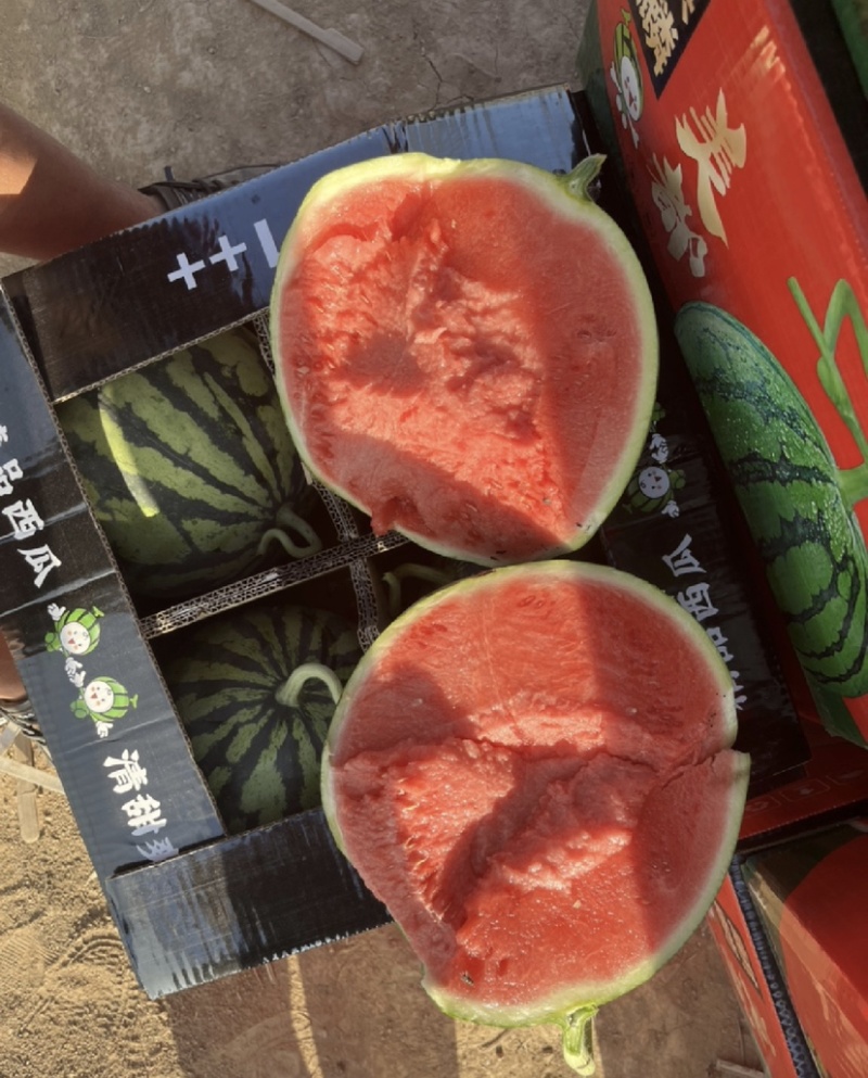 【优选】麒麟瓜美都8424西瓜电商/市场货全国代发