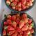 甜茶理草莓，果个头大，形状鸡心形，亮度高耐运输，口味酸甜