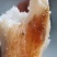 富硒冰糖心，薯肉软糯绵密，皮薄如纸，细腻无筋