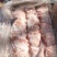 猪肉精修肉青纯干无冰质量很好批发价格欢迎各位老板