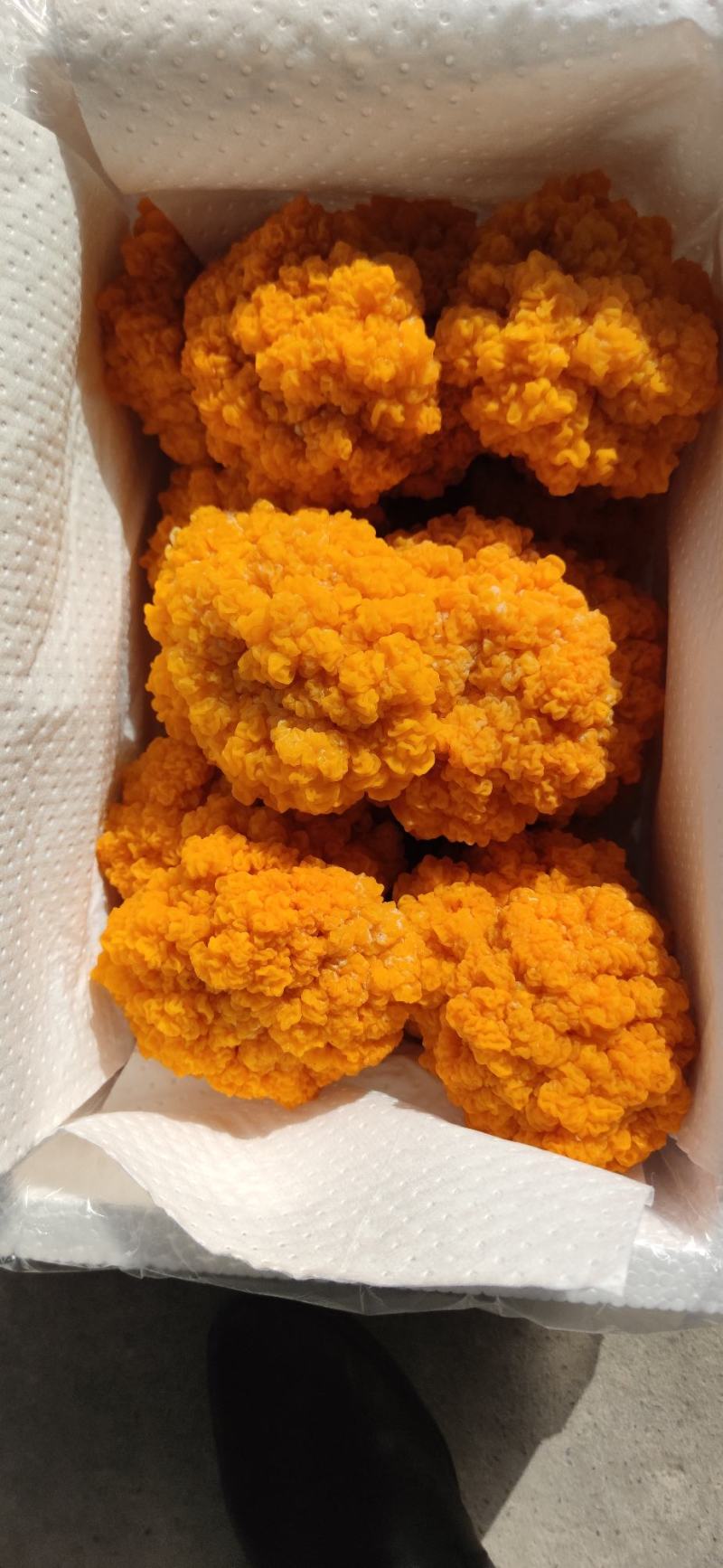 新鲜金耳食用菌常年稳定有货干度好耐存放价格实惠