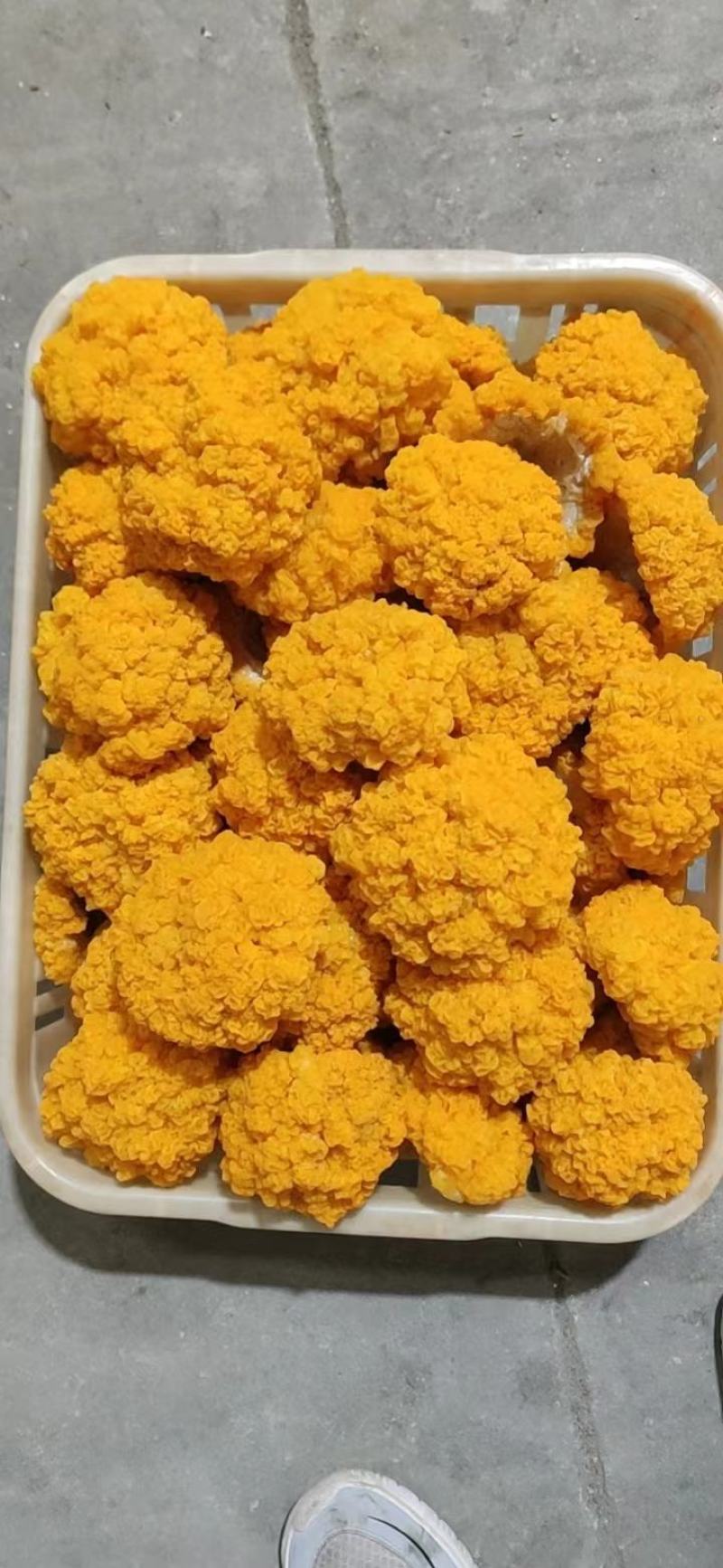 新鲜金耳食用菌常年稳定有货干度好耐存放价格实惠
