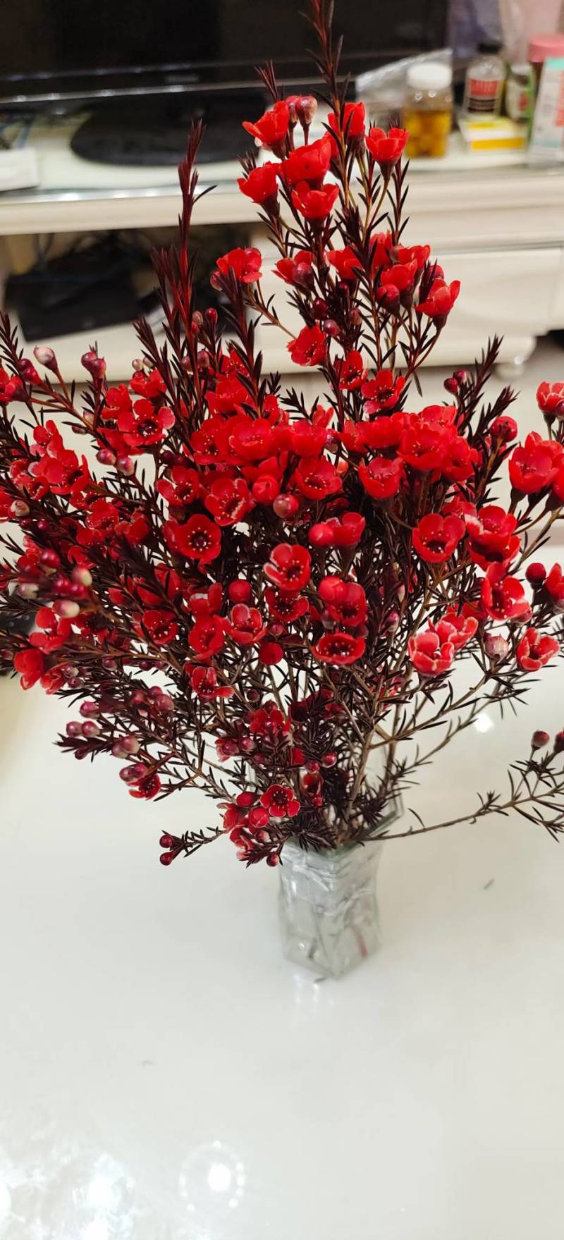 澳洲腊梅鲜花干花切花批发地摊早市