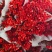 澳洲腊梅鲜花干花切花批发地摊早市