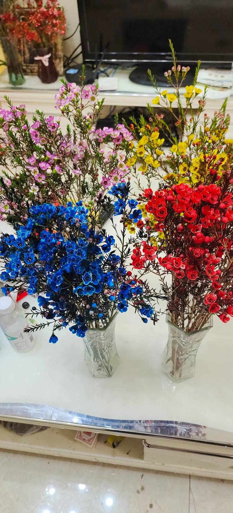 澳洲腊梅鲜花干花切花批发地摊早市