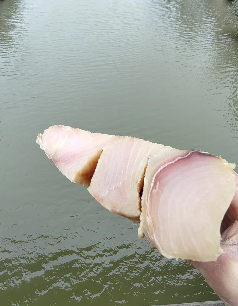 鲨鱼肉鲨鱼干鲨鱼肉条干货味道香鱼肉无骨无沙皮老少小孩可