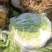 本地鸡腿白菜，精品市场货电商货，超市搞活动，提供各种包装