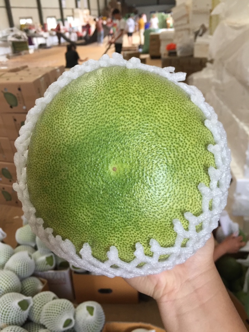 泰国进口青柚白肉蜜柚货源充足，电商平台一件代发